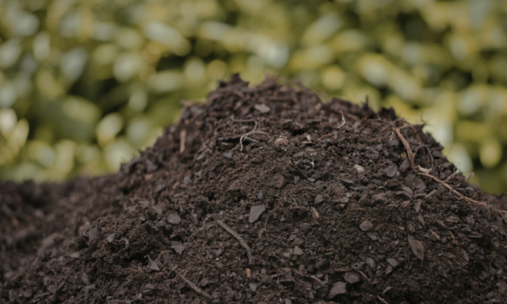 compost pile compost pile