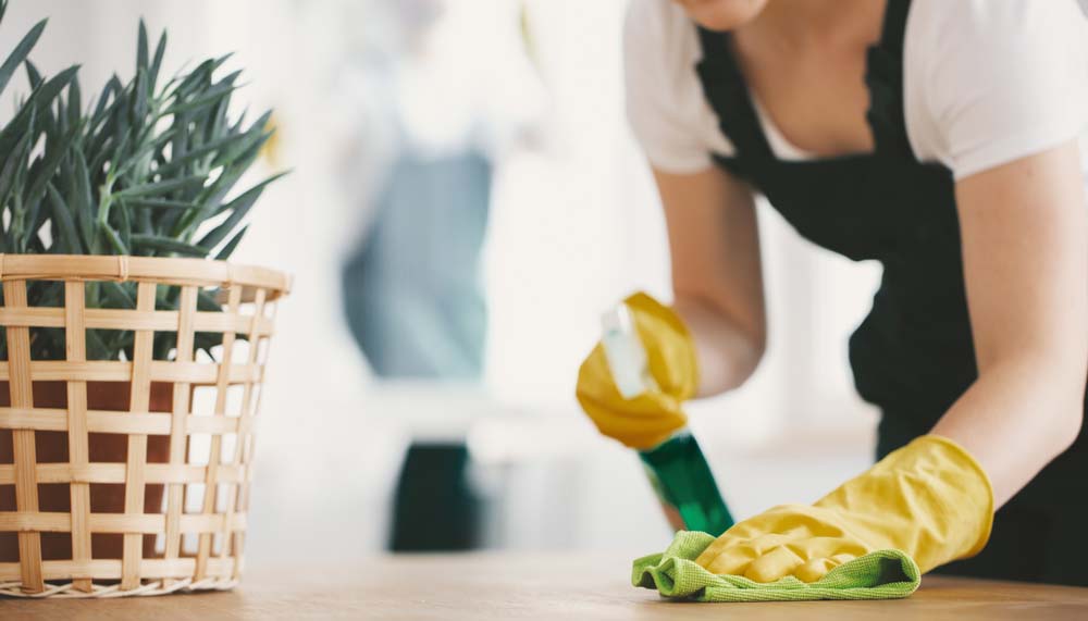 Green Cleaning