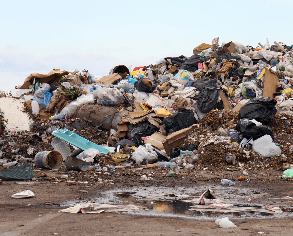 Trash at a landfill